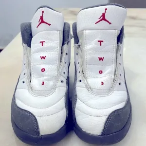 Air Jordan 12