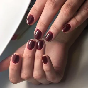 Akzentz Luxio - Diva