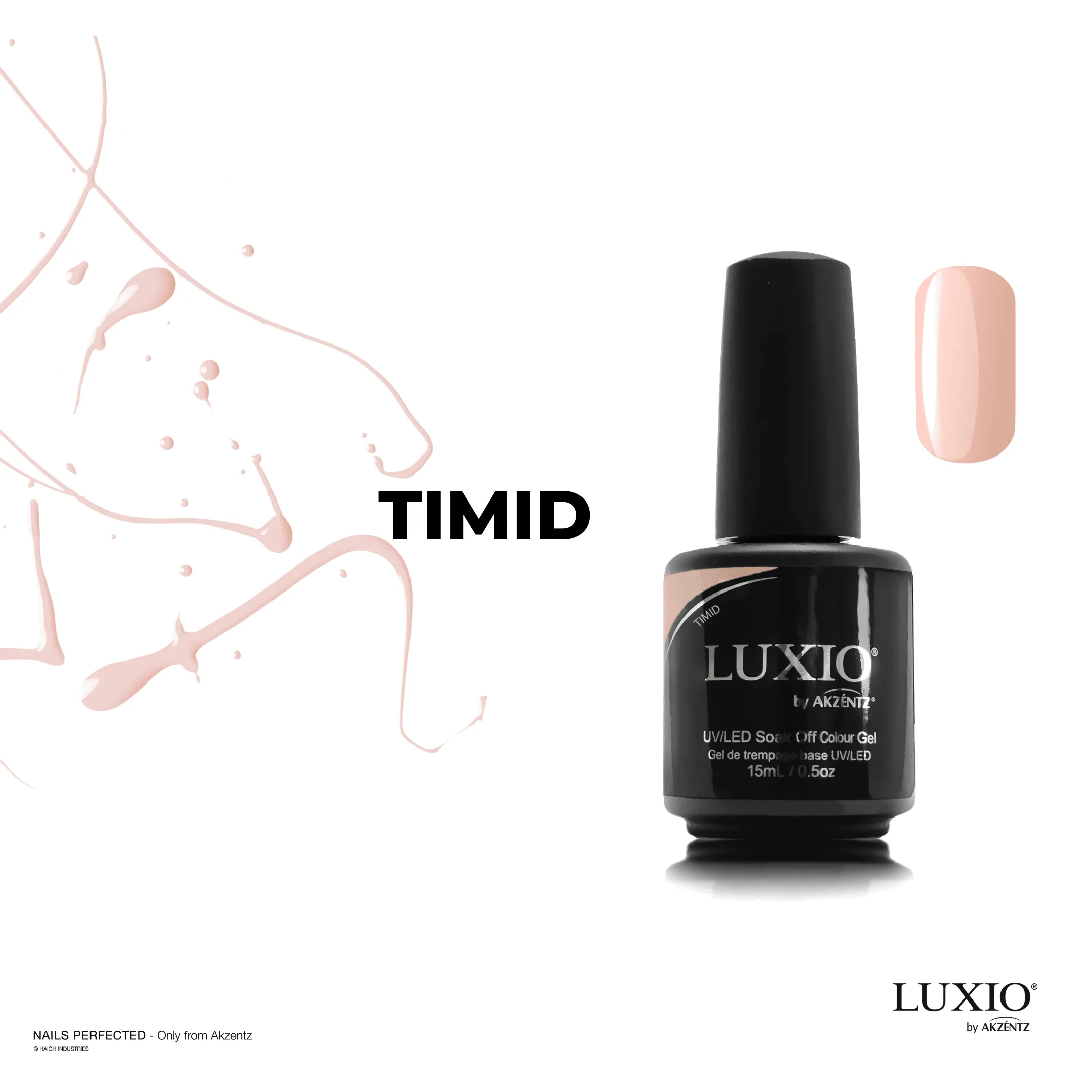 Akzentz Luxio - Timid