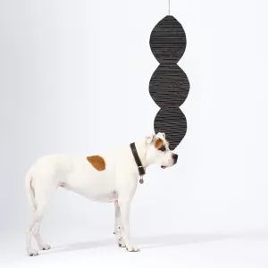 Bean Pod VIII, 2016