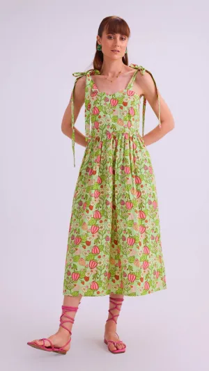 Celine Dress, Spring Fling