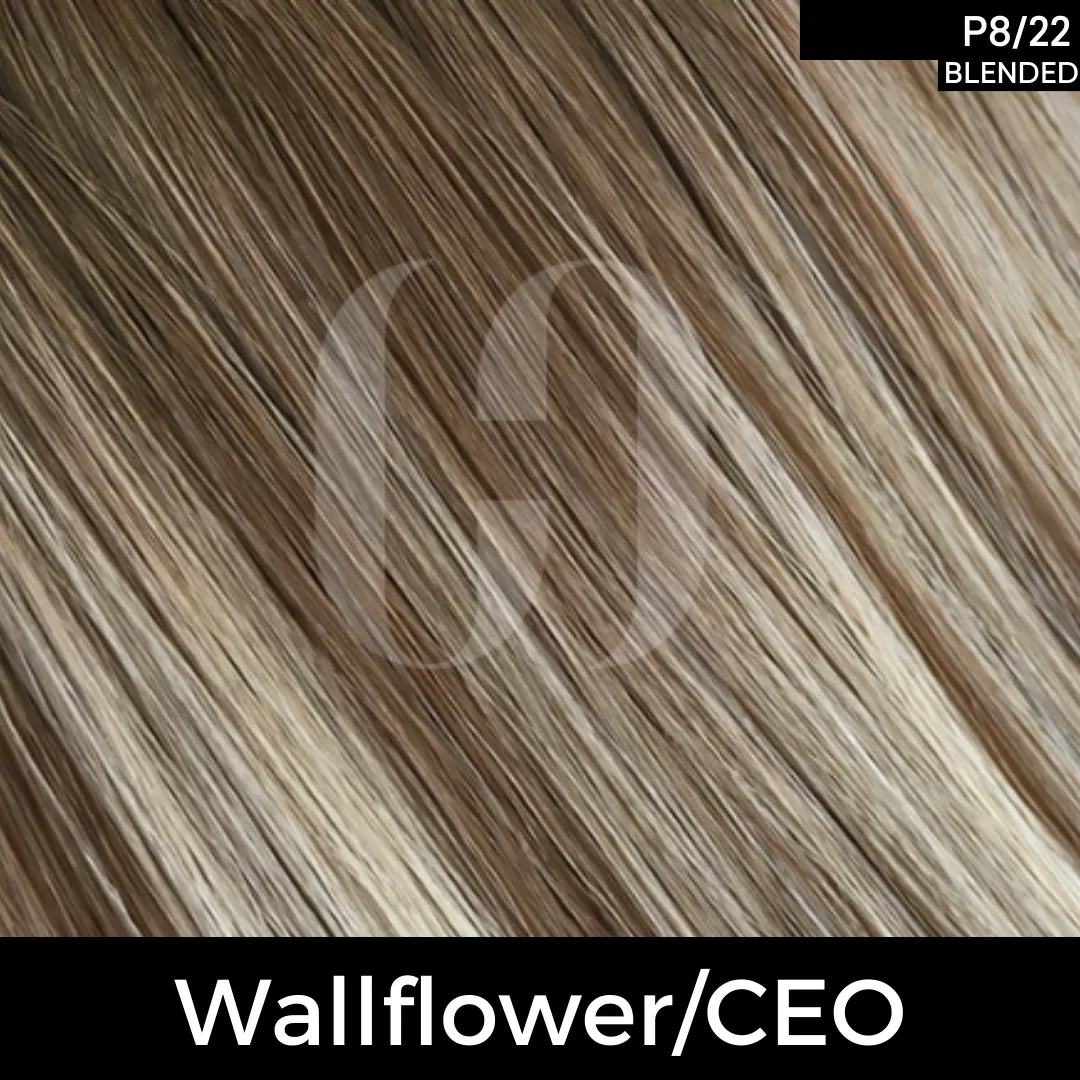 Clutch Weft Hair Extensions 20"