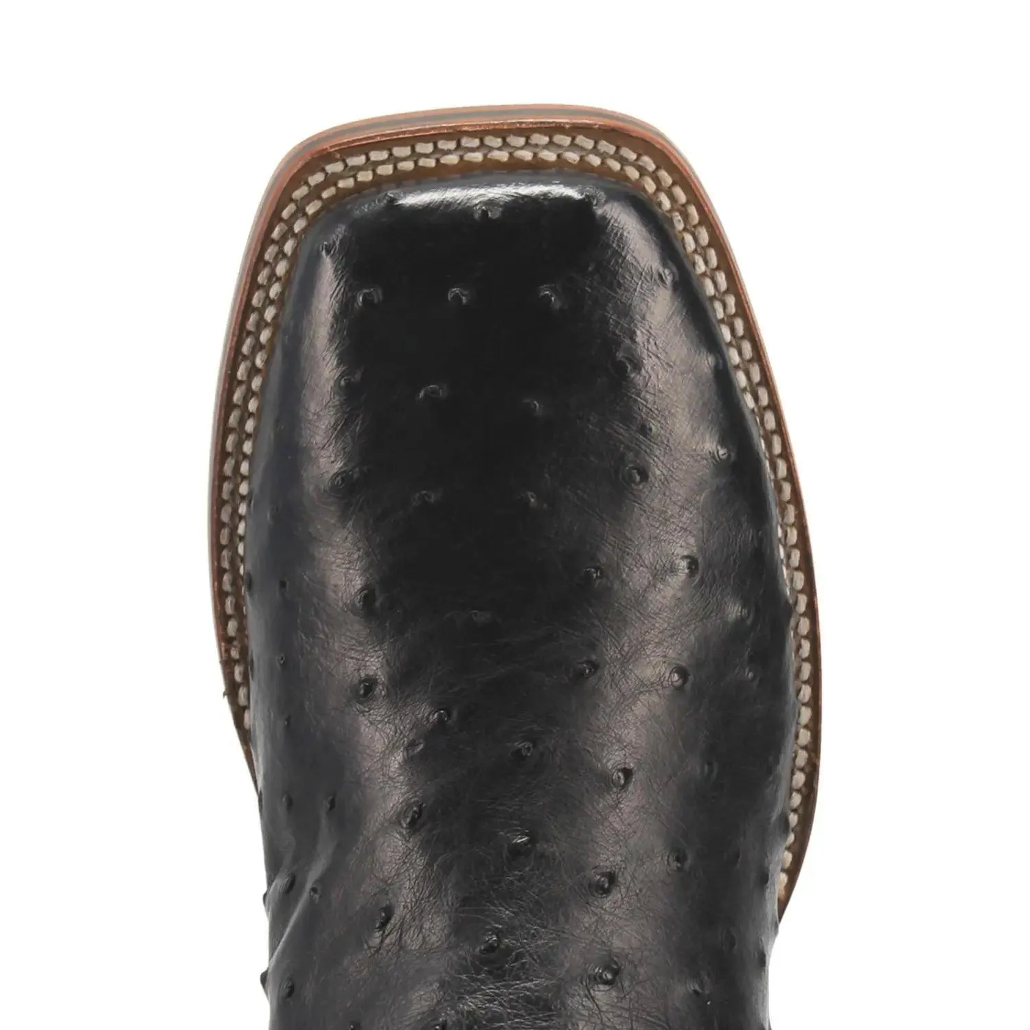 Dan Post Men's Alamosa Quill Ostrich Boot DP4873