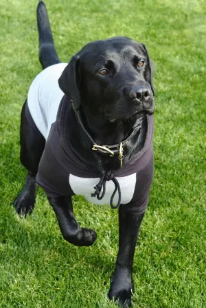 DOG HOODIE - HEATHER GREY/BLACK