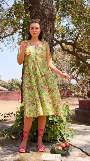 Dorothy Dress, Spring Fling