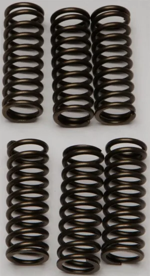 EBC CSK145 Redline Clutch Springs