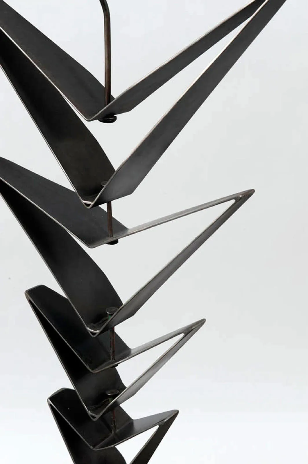 Falcons Fledgling Five, 1998