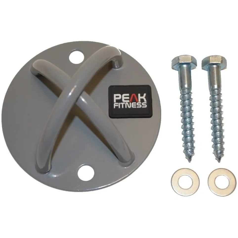Fitness Gym Wall Mount