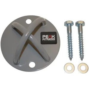 Fitness Gym Wall Mount