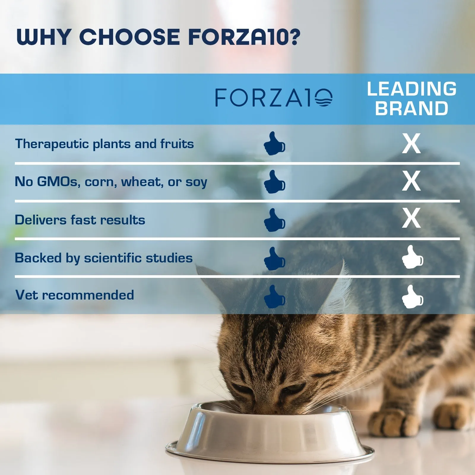 Forza10 Active Renal Dry Cat Food