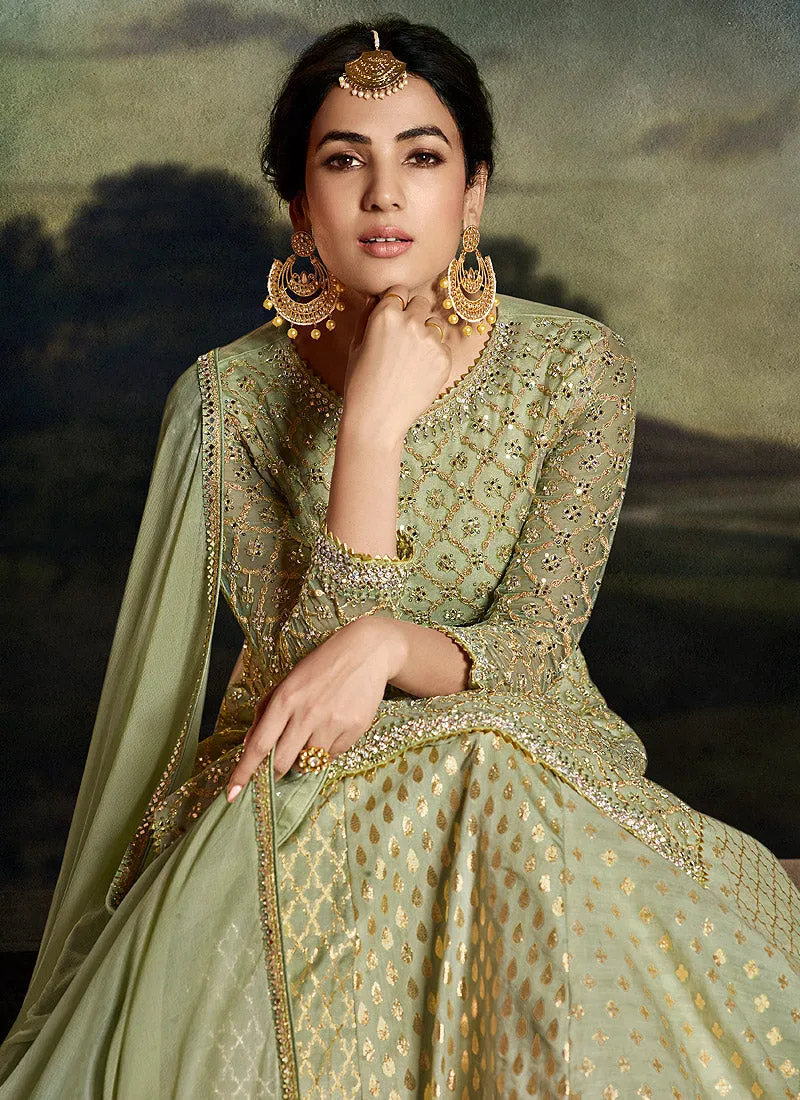 Green Golden Embroidered Sharara Suit