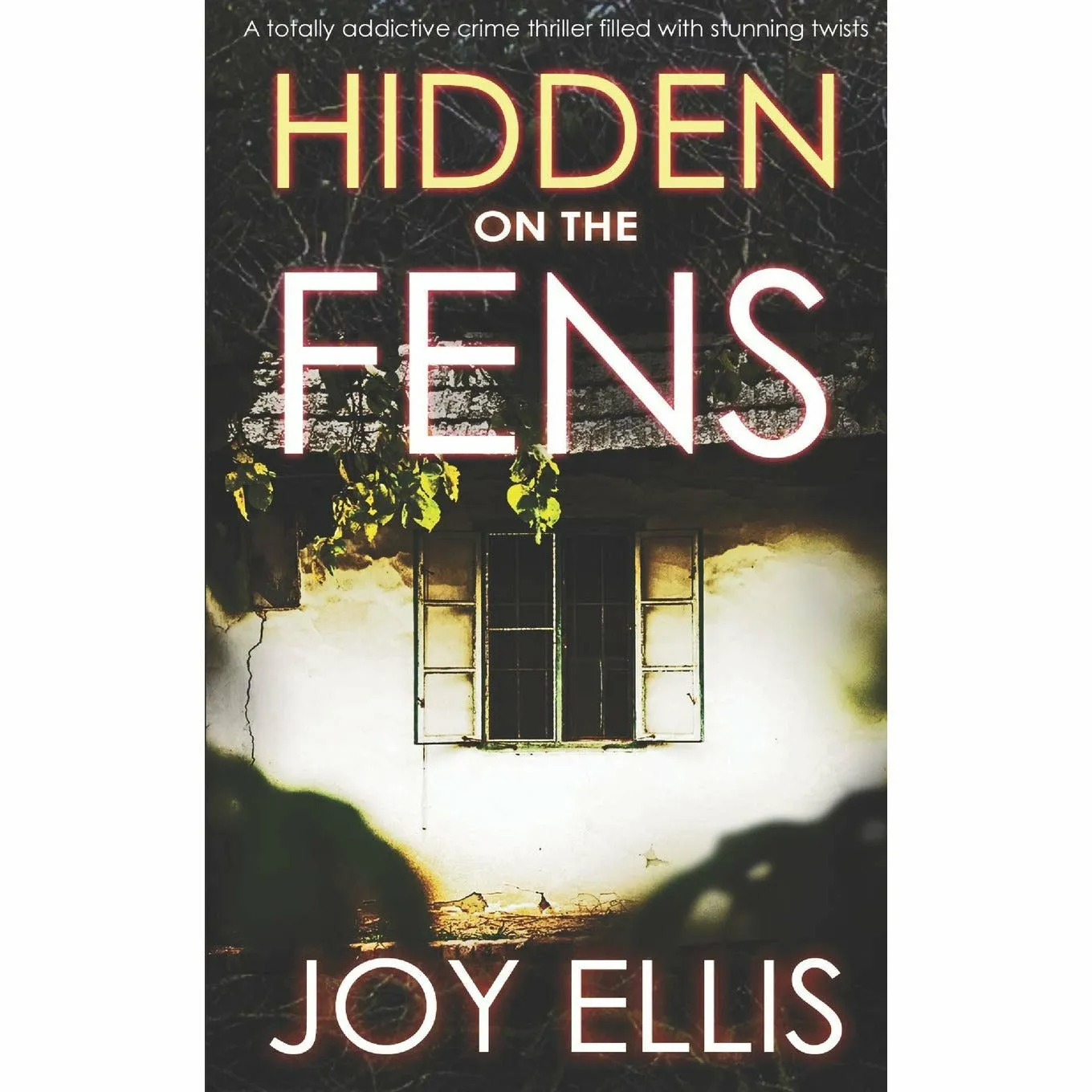 HIDDEN ON THE FENS a totally addictive crime thriller filled with stunning twists