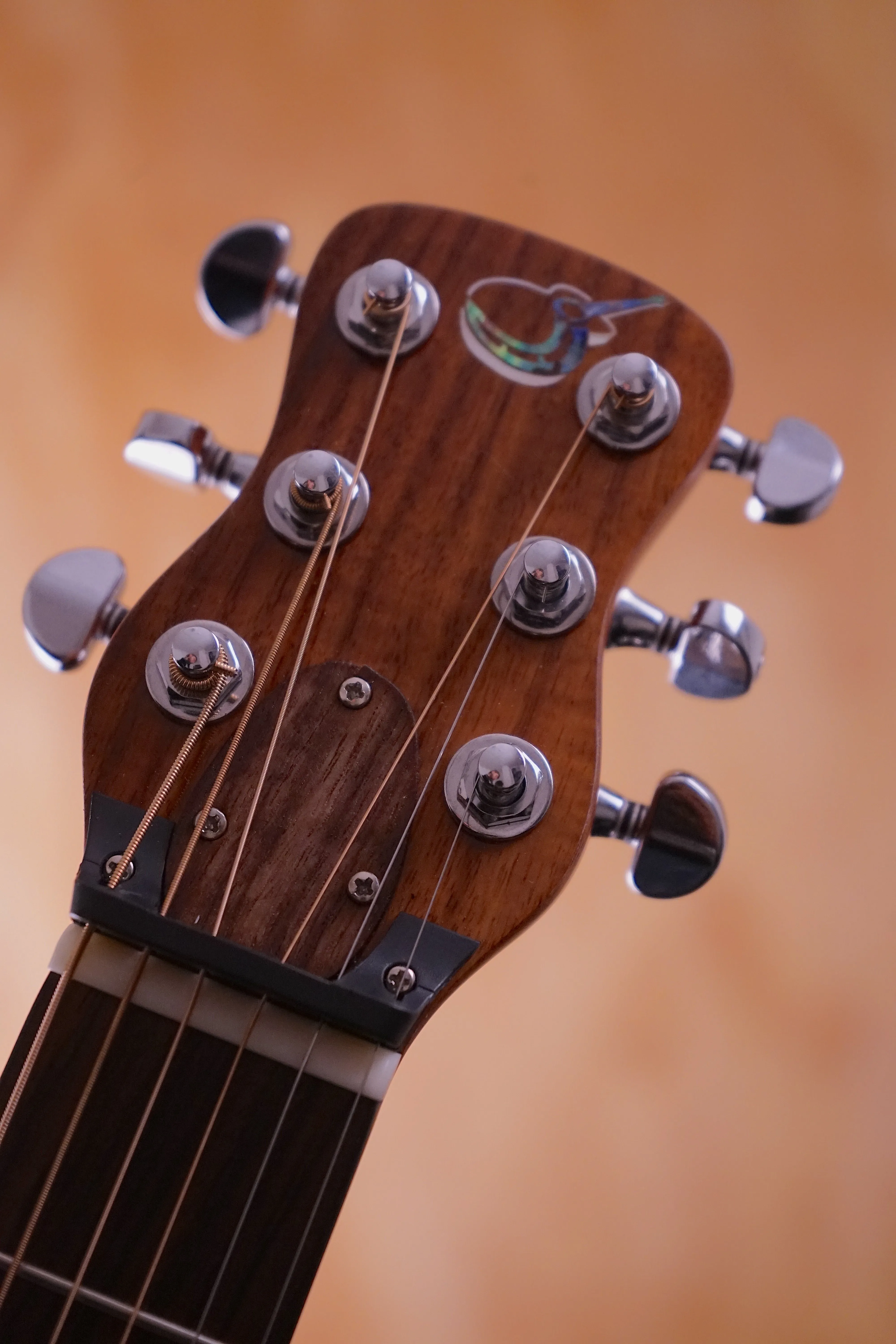 Journey Instruments OF882C Acacia Koa, USED