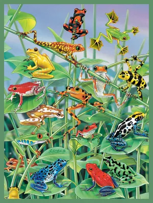 Jungle Gym 500 Pc Puzzle
