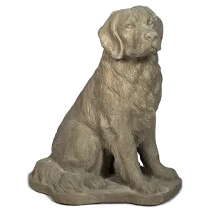 Large Dog