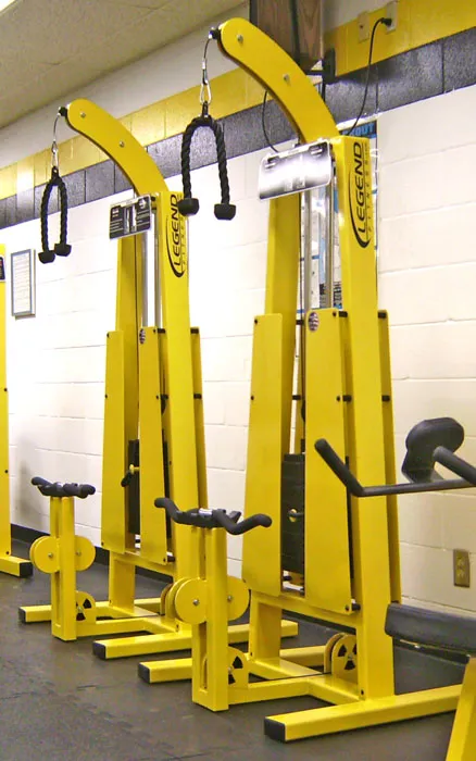 LEGEND FITNESS STANDING BICEP / TRICEP COMBO - 946