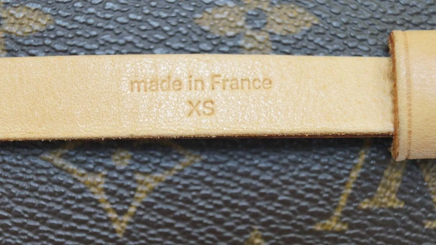LOUIS VUITTON Monogram Canvas Pochette Florentine Bag