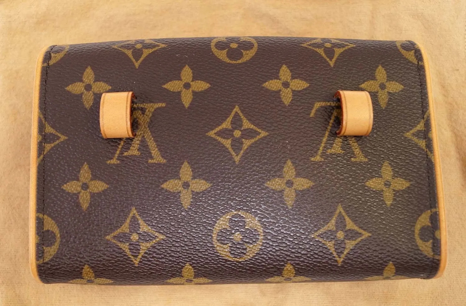 LOUIS VUITTON Monogram Canvas Pochette Florentine Bag