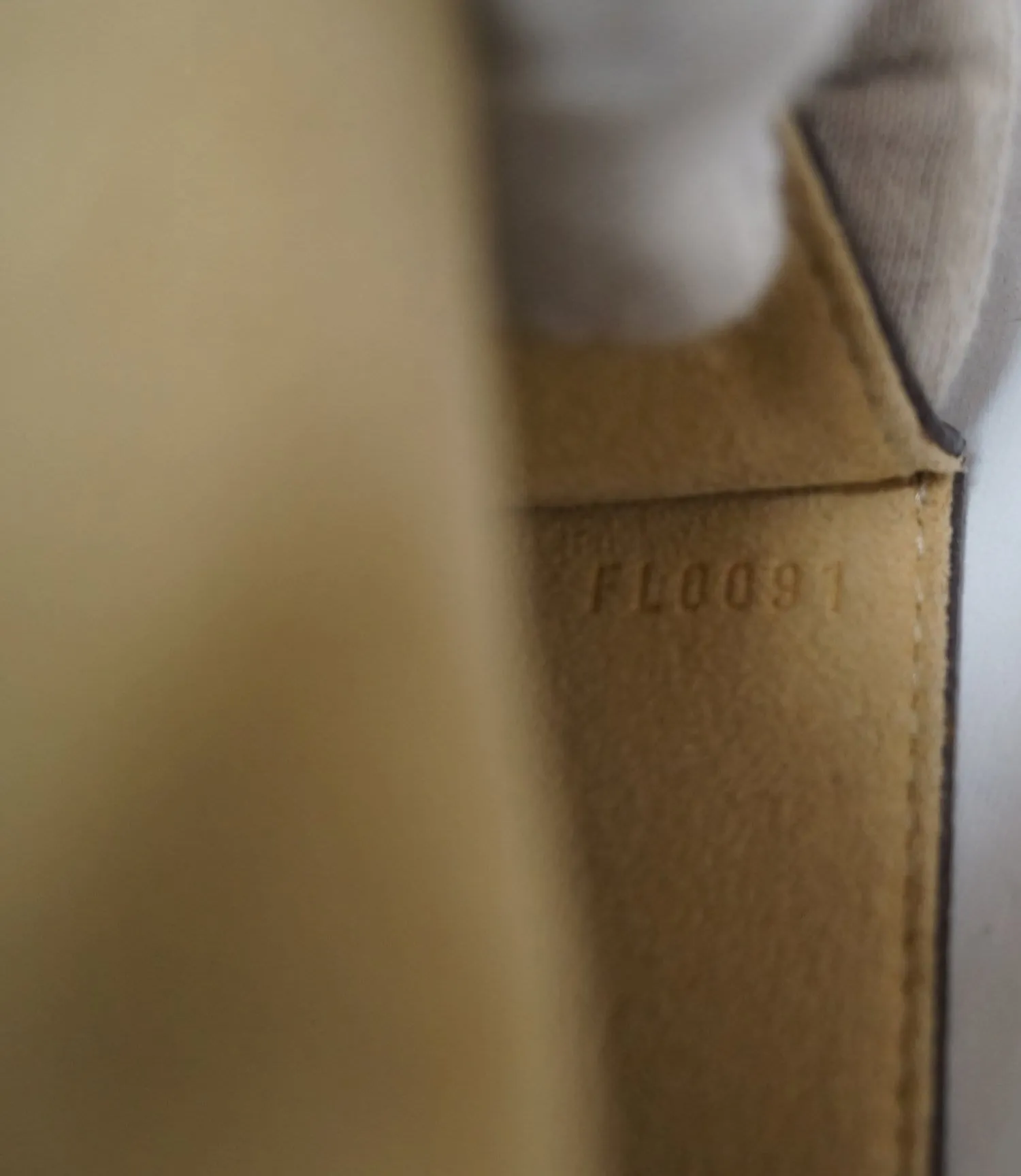 LOUIS VUITTON Monogram Canvas Pochette Florentine Bag