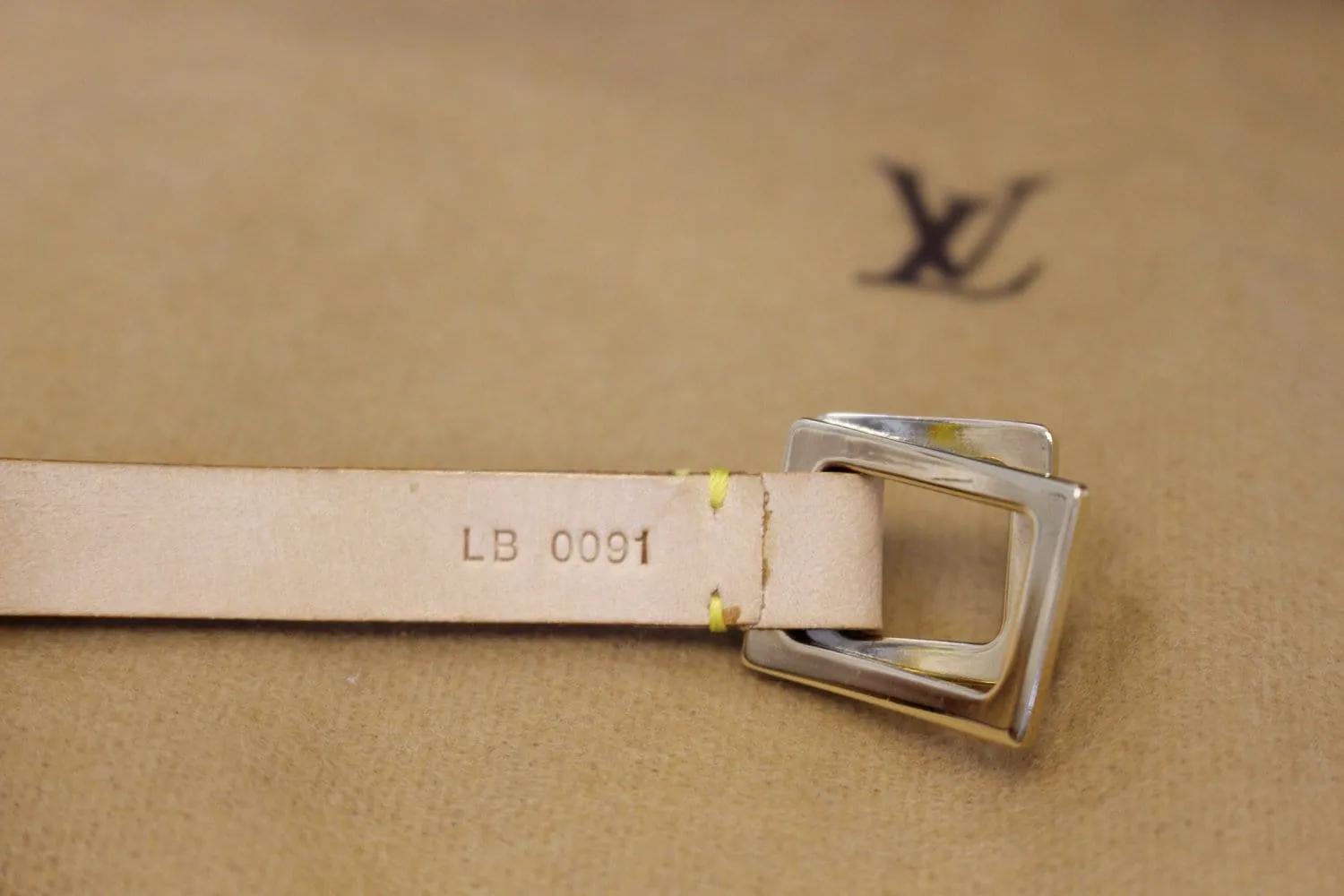LOUIS VUITTON Monogram Canvas Pochette Florentine Bag