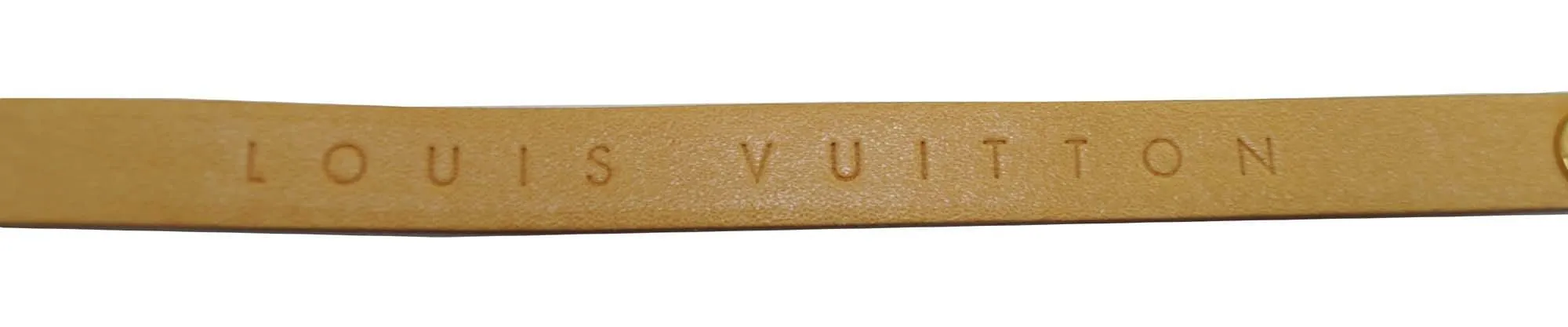 LOUIS VUITTON Monogram Canvas Pochette Florentine Bag