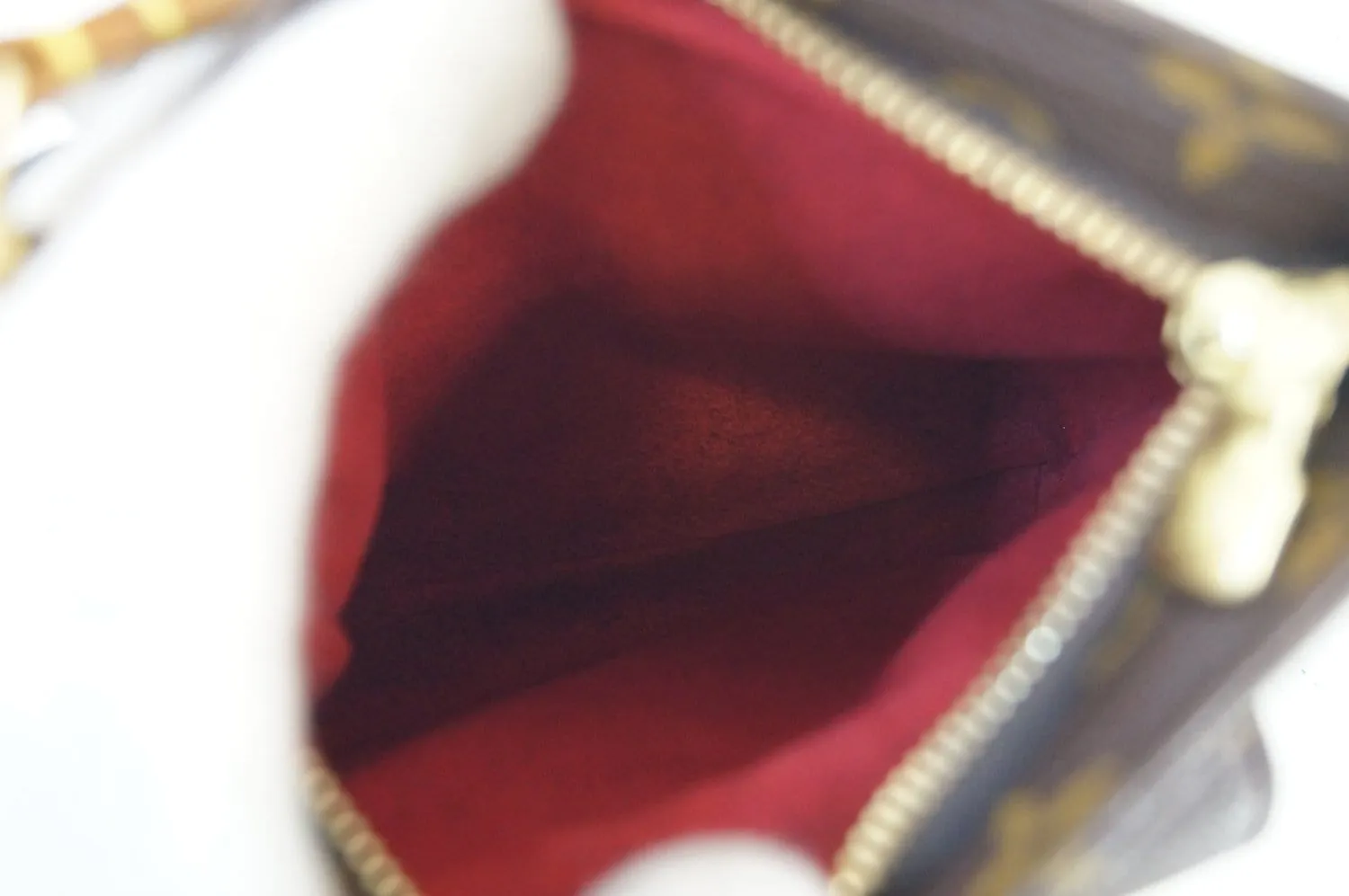 LOUIS VUITTON Monogram Partition Clutch Bag