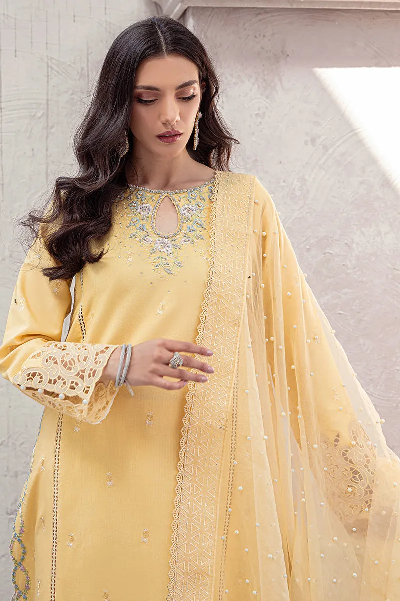 MANGO SORBET MLE22-01 | Mushq Eid Pret Drop 2 | 3Pc Cotton Net Suit