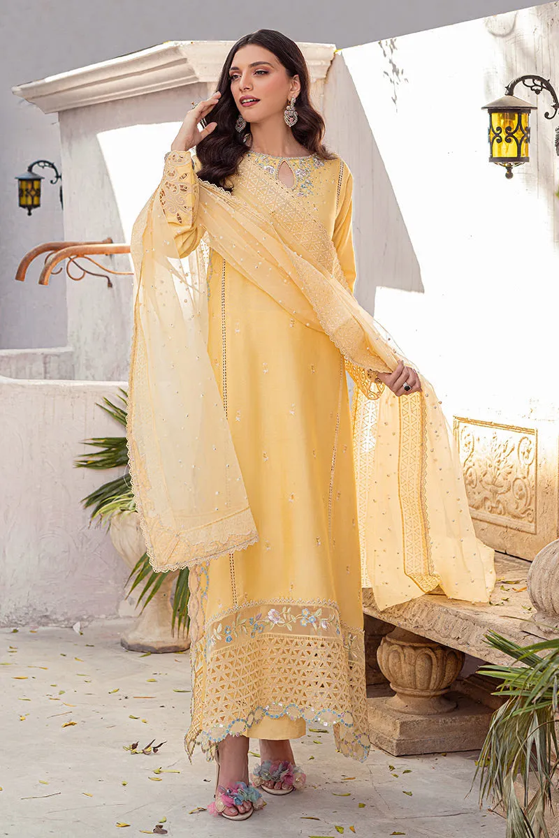 MANGO SORBET MLE22-01 | Mushq Eid Pret Drop 2 | 3Pc Cotton Net Suit