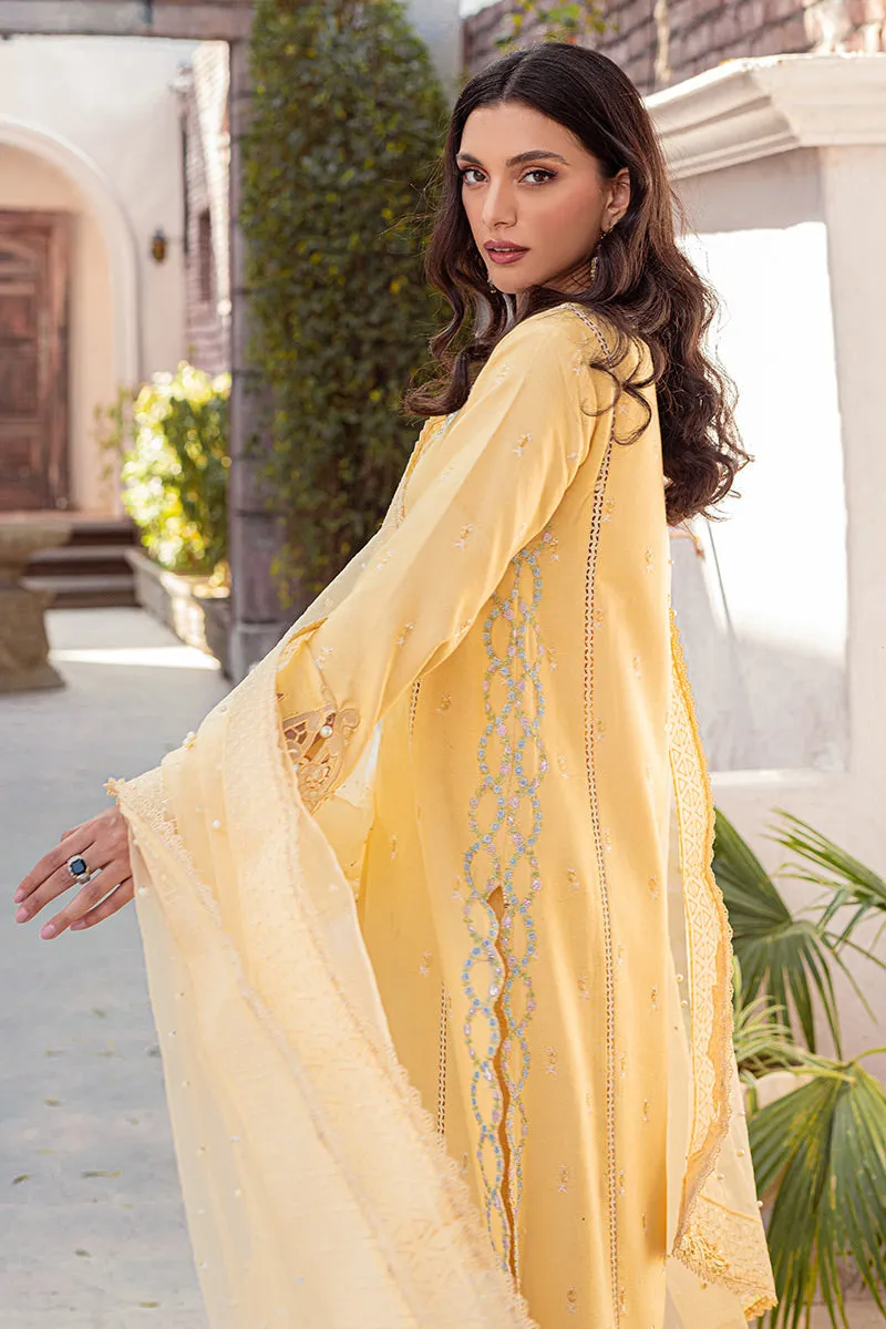 MANGO SORBET MLE22-01 | Mushq Eid Pret Drop 2 | 3Pc Cotton Net Suit