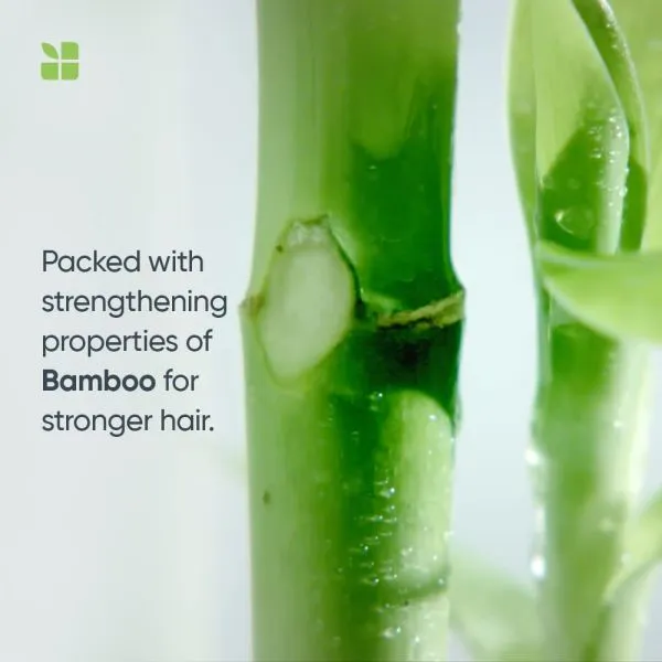 Matrix Biolage Advanced Fiberstrong Shampoo (1000ml)