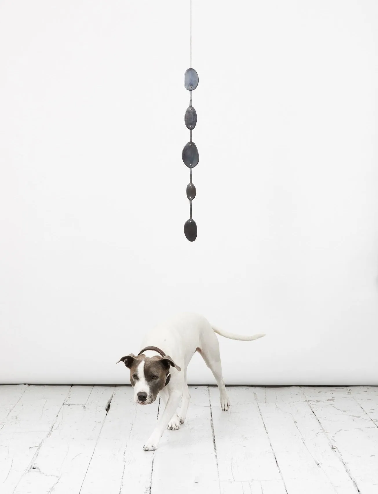 Poppy III, 2019