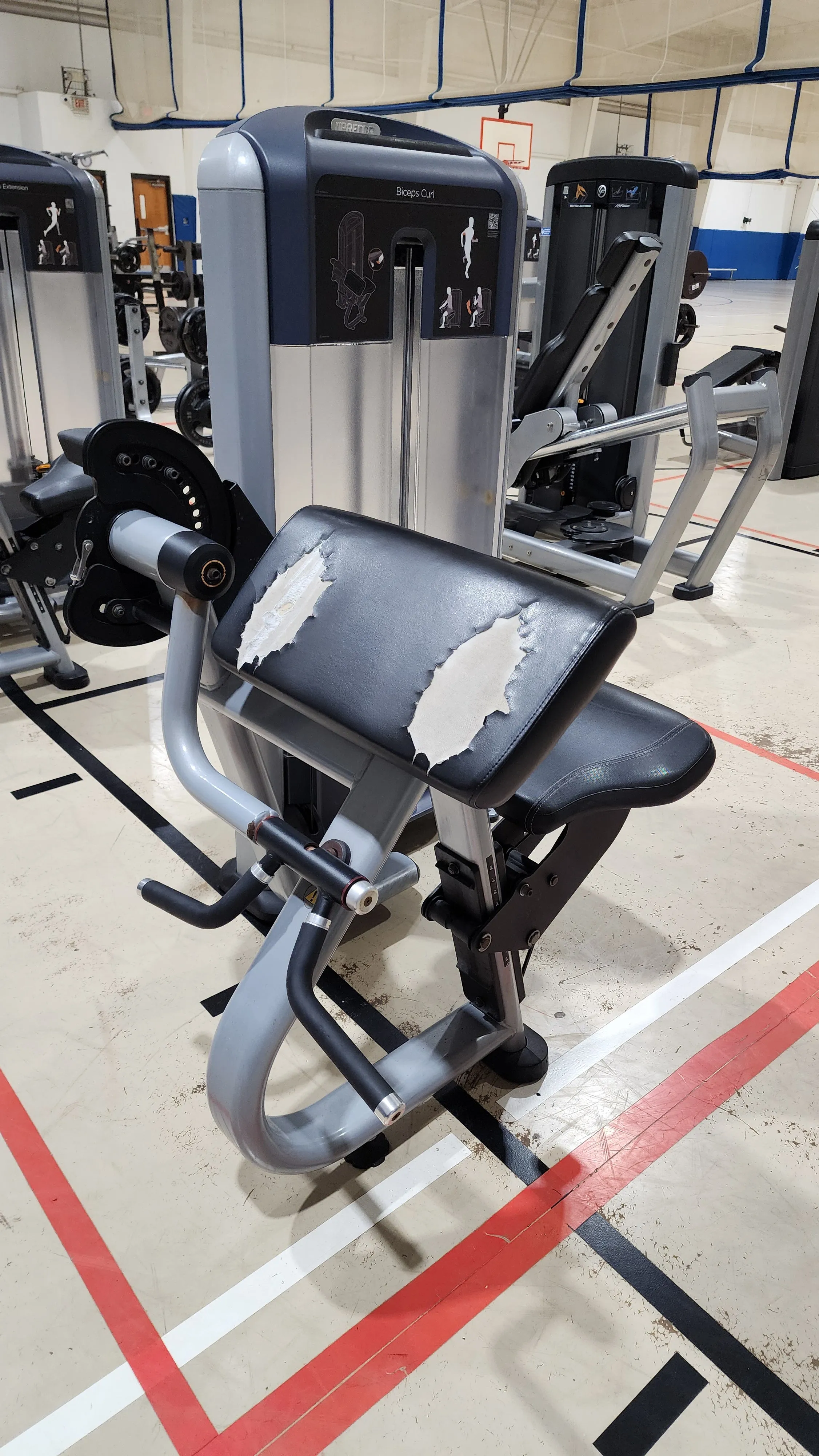 Precor Discovery Series Selectorized Bicep Curl DSL0204