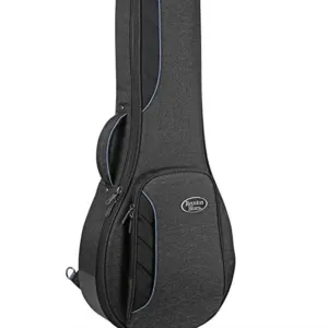 Reunion Blues Continental Voyager Banjo Case