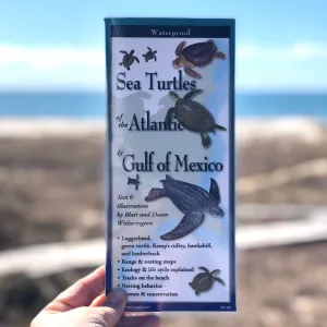 Sea Turtles of the Atlantic and Gulf of Mexico