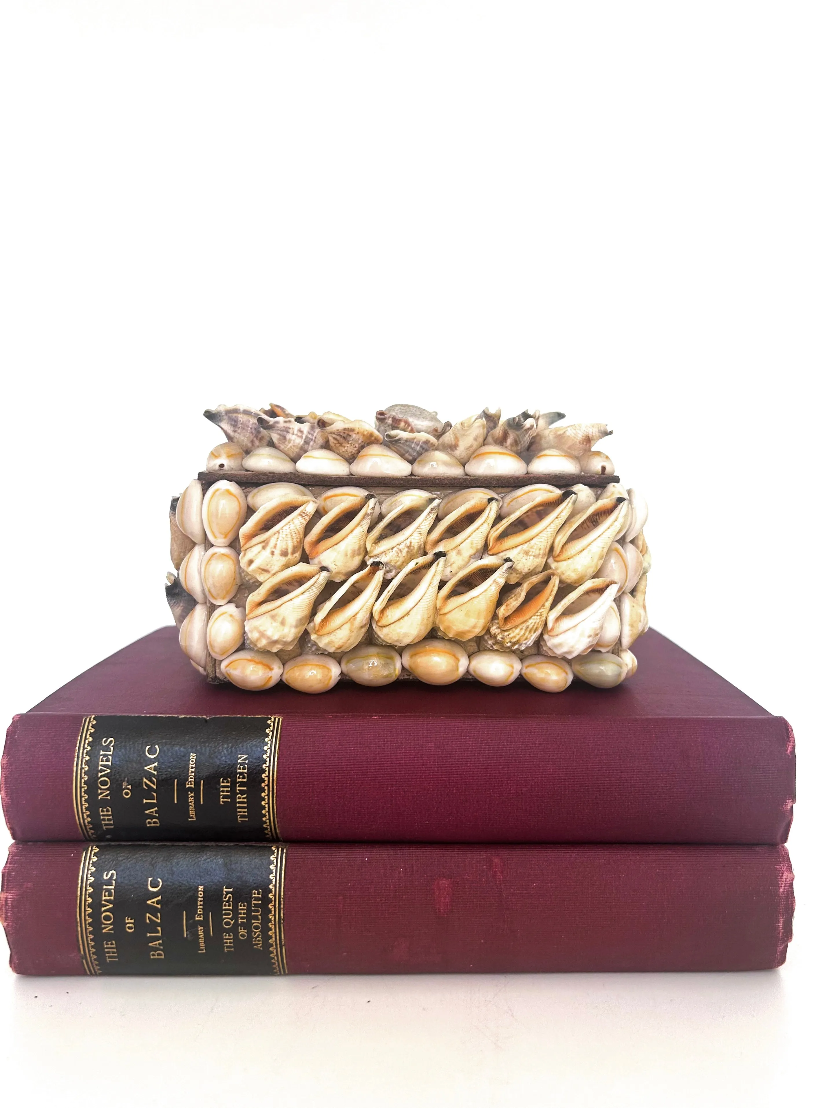 Shell Assemblage Box