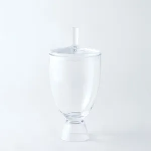 SIMPLE JAR SM