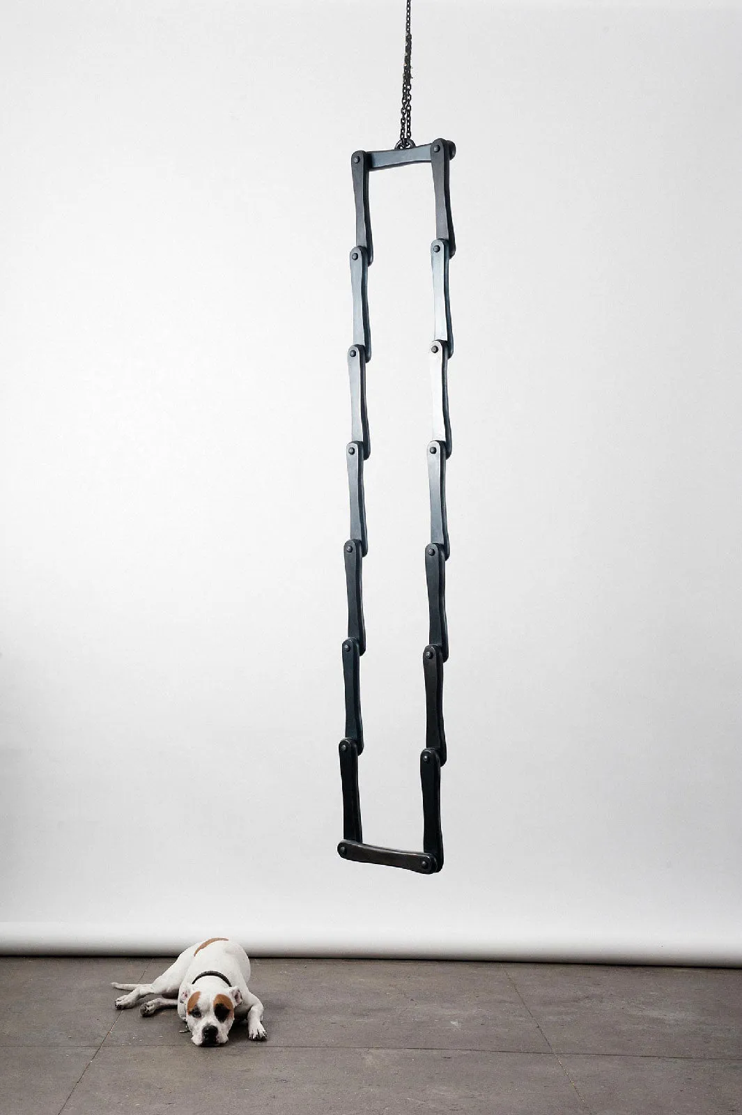 Sir Tangle III, 2011