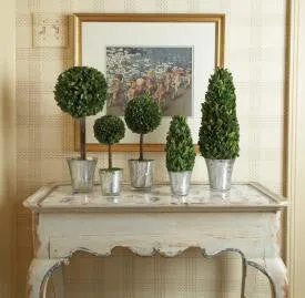 SMALL TOPIARY