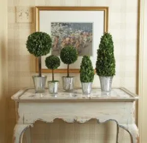 SMALL TOPIARY