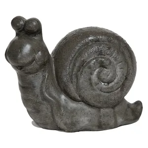 Snail, Small