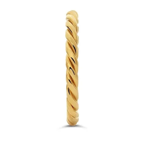 Thick Twisted Wire Band