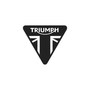 Triumph Clutch Lever – T2043259