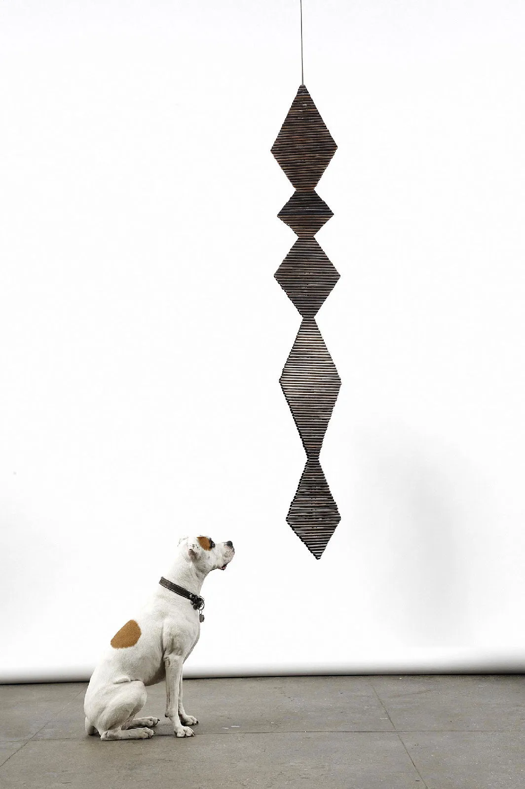 Whirlwind, 2010