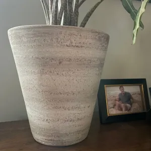 White-washed Terracotta Planter, Large with Plant (In-store pick up only)