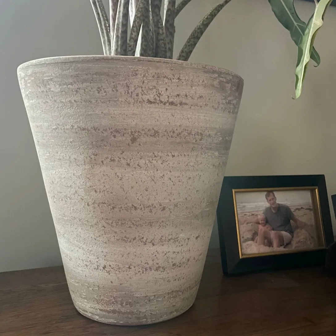 White-washed Terracotta Planter, Large with Plant (In-store pick up only)