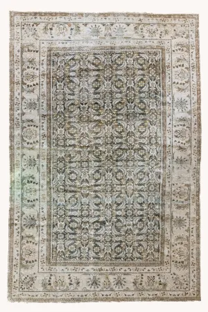 Zina | 8'9 x 12'6